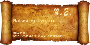 Matecsny Evelin névjegykártya